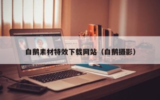 赣州白鹅素材特效下载网站（白鹅摄影）
